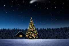 Htte mit Christbaum be Nact